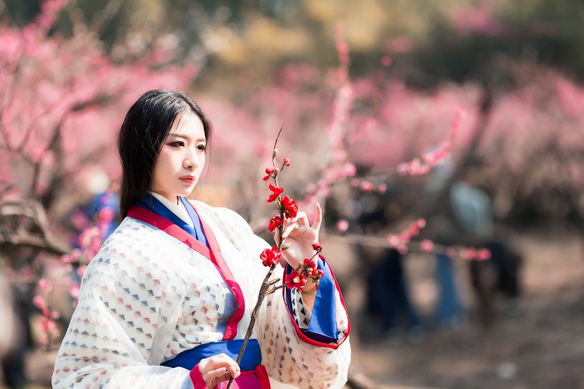 汉唐风   请指教