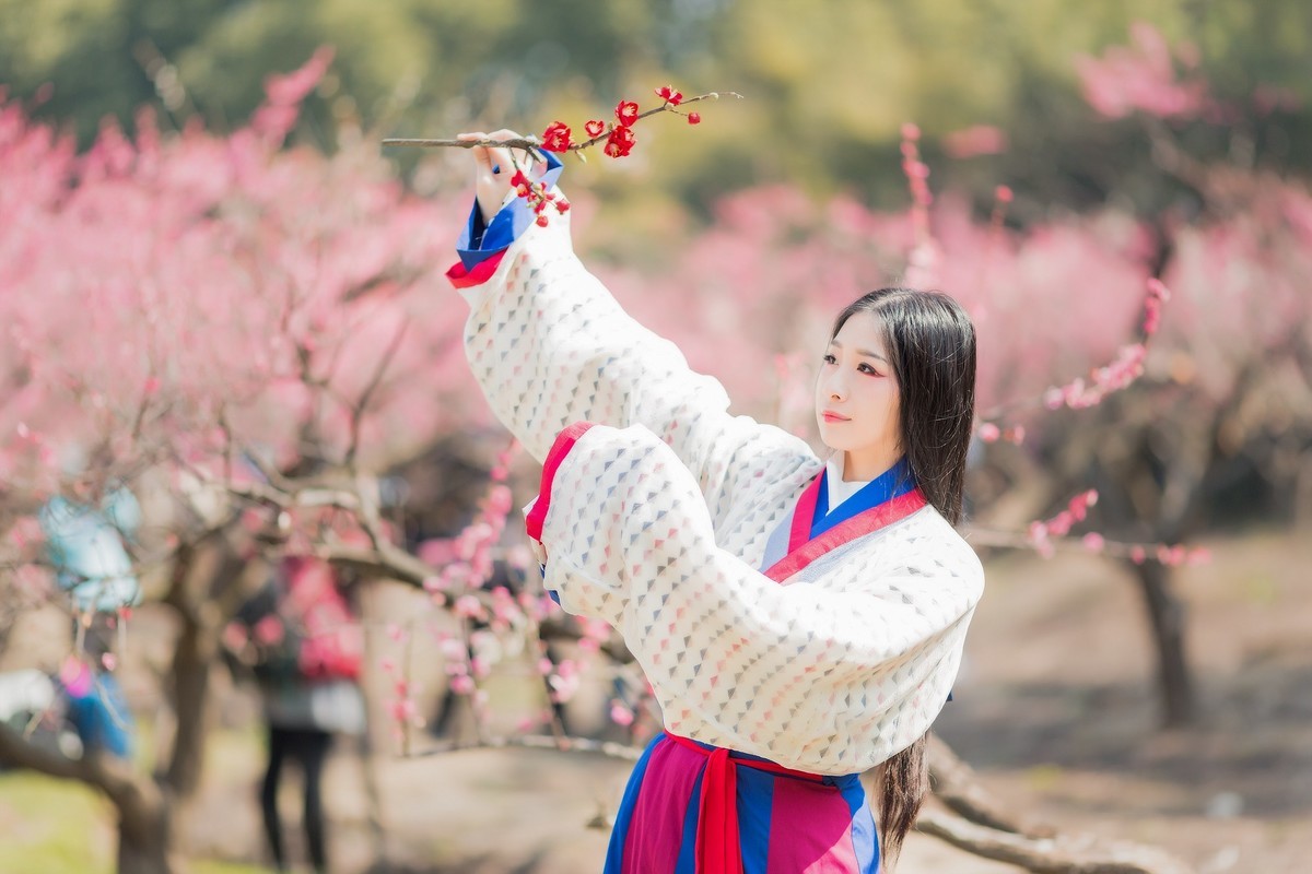 汉唐风   请指教