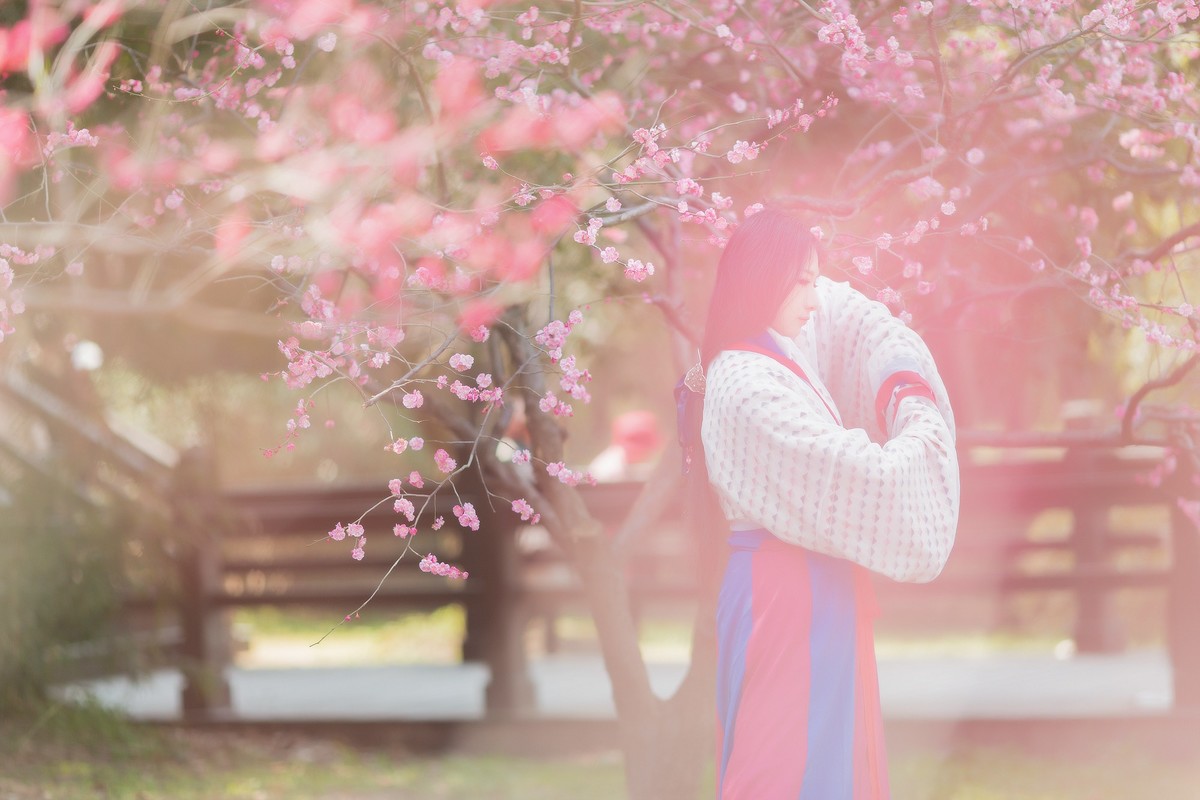 汉唐风   请指教