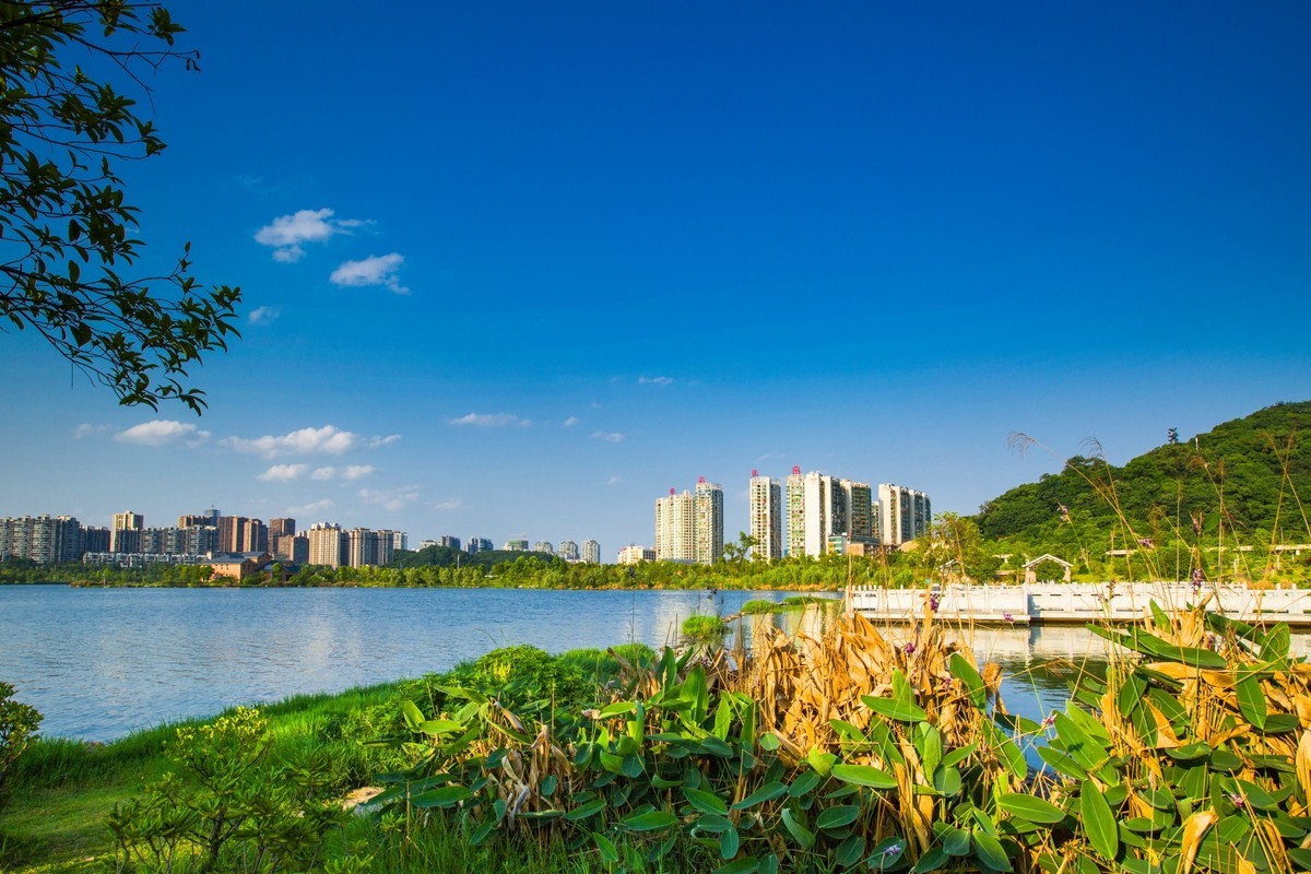 西湖文化公園夏景12