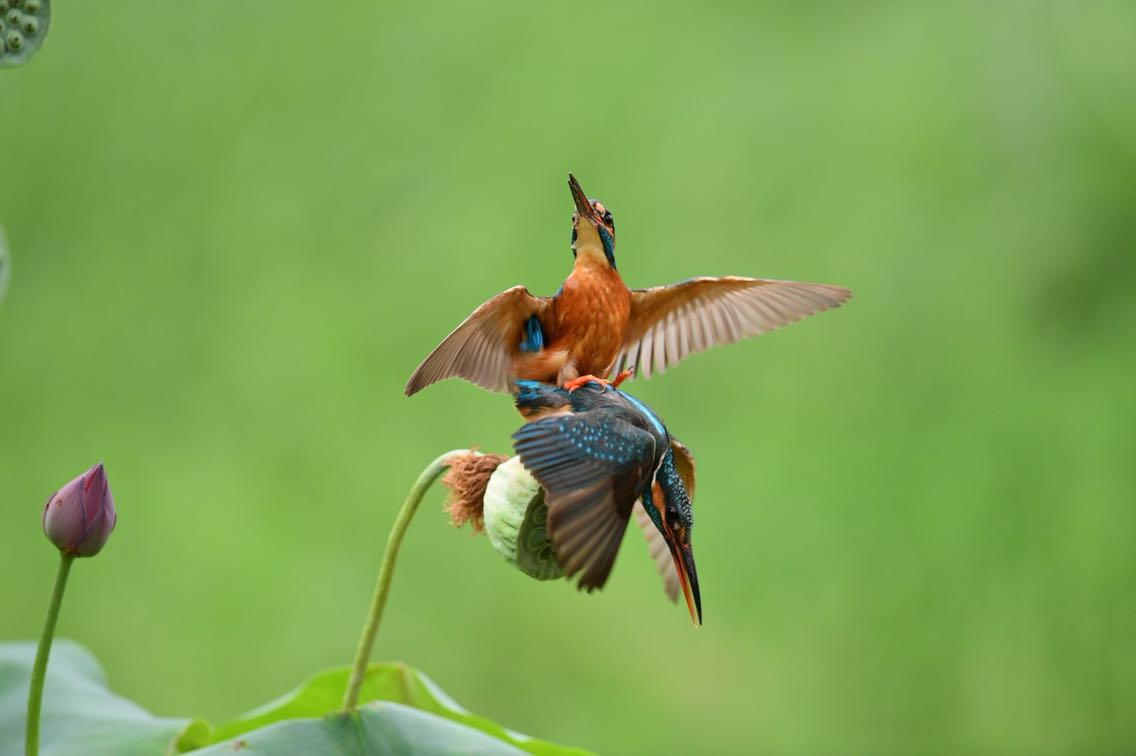 最近不忙什么总觉得一切都放慢了一一一
