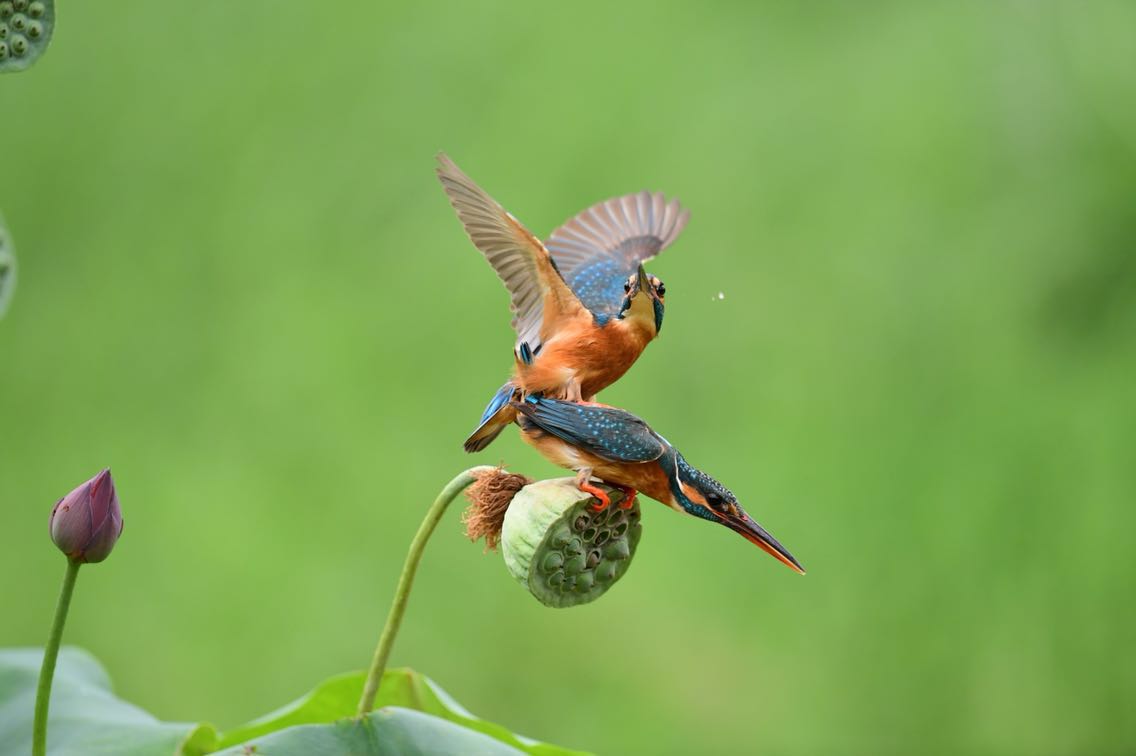 最近不忙什么总觉得一切都放慢了一一一