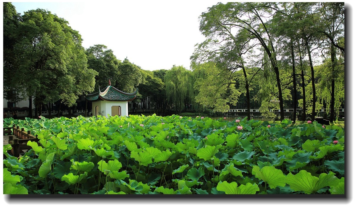 #佳能EOS M6-定格光影#_光与影的瞬间