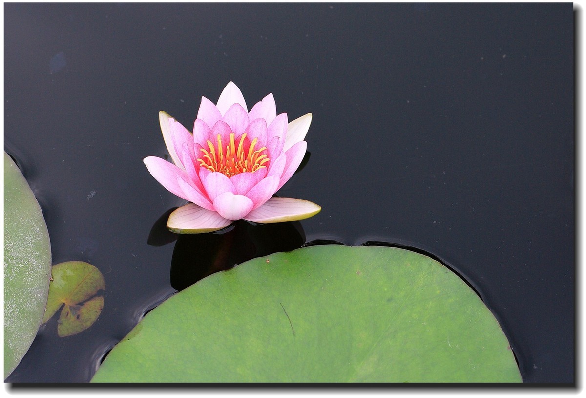 #佳能EOS M6-定格光影#_光与影的瞬间