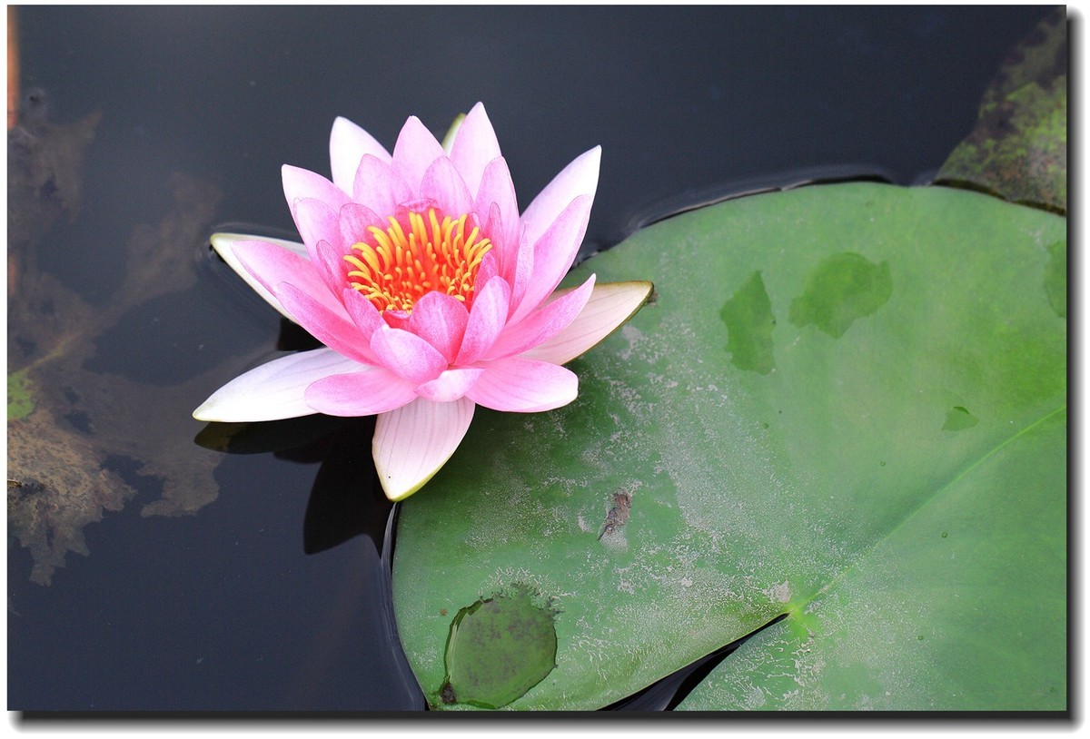 #佳能EOS M6-定格光影#_光与影的瞬间