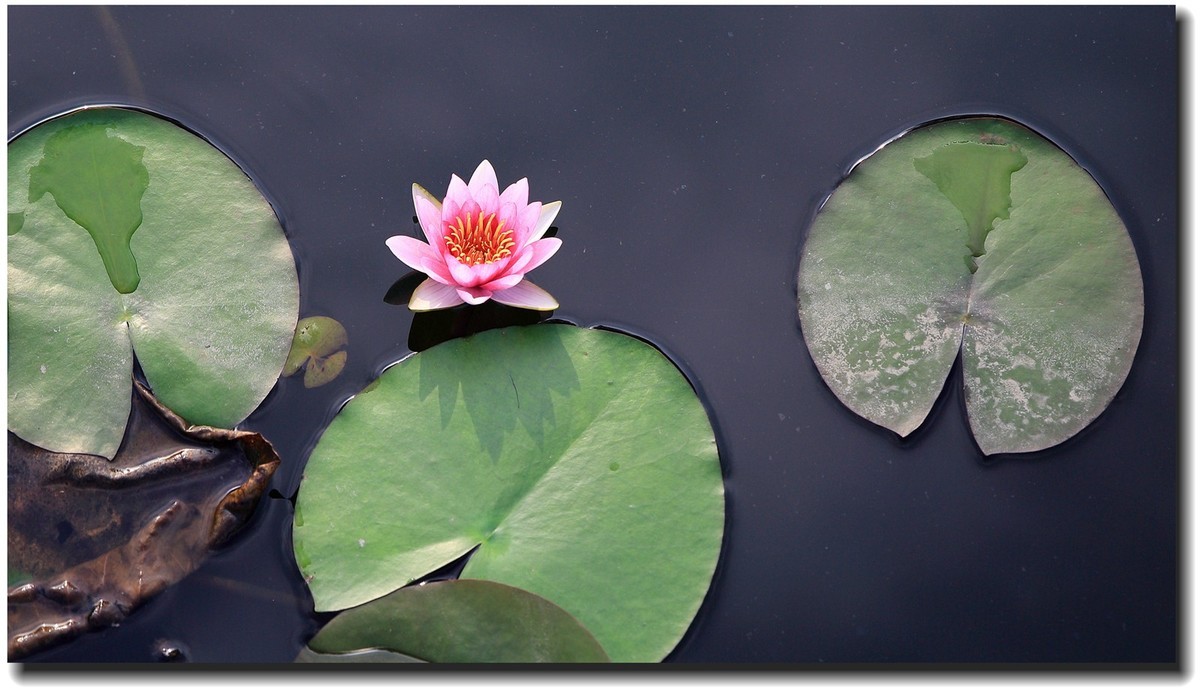 #佳能EOS M6-定格光影#_光与影的瞬间