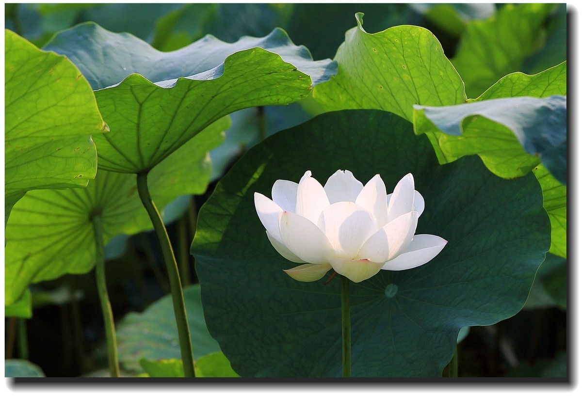 #佳能EOS M6-定格光影#_光与影的瞬间