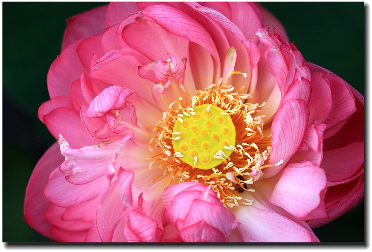 #佳能EOS M6-定格光影#_光与影的瞬间