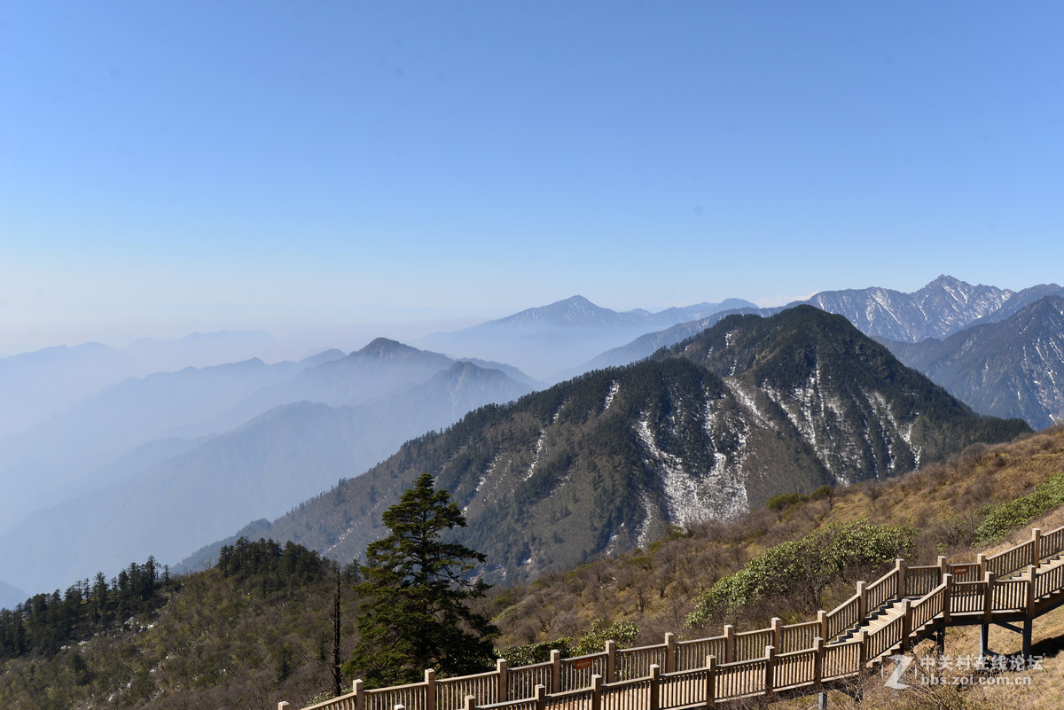 窗含西岭千秋雪