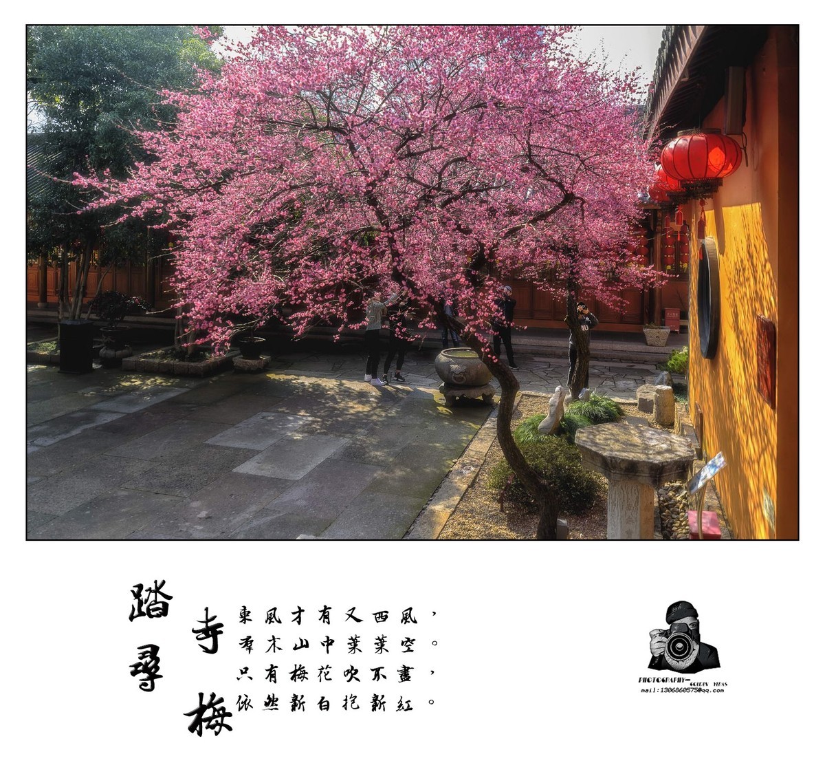 踏寺寻梅