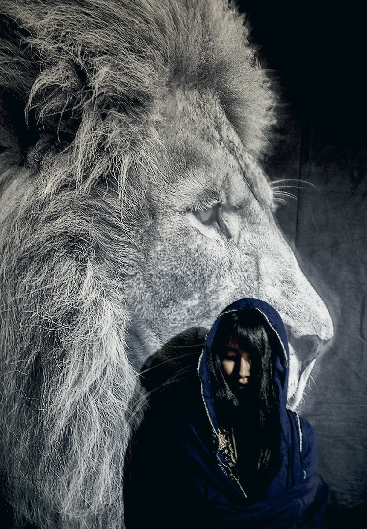 西域   沙漠之花