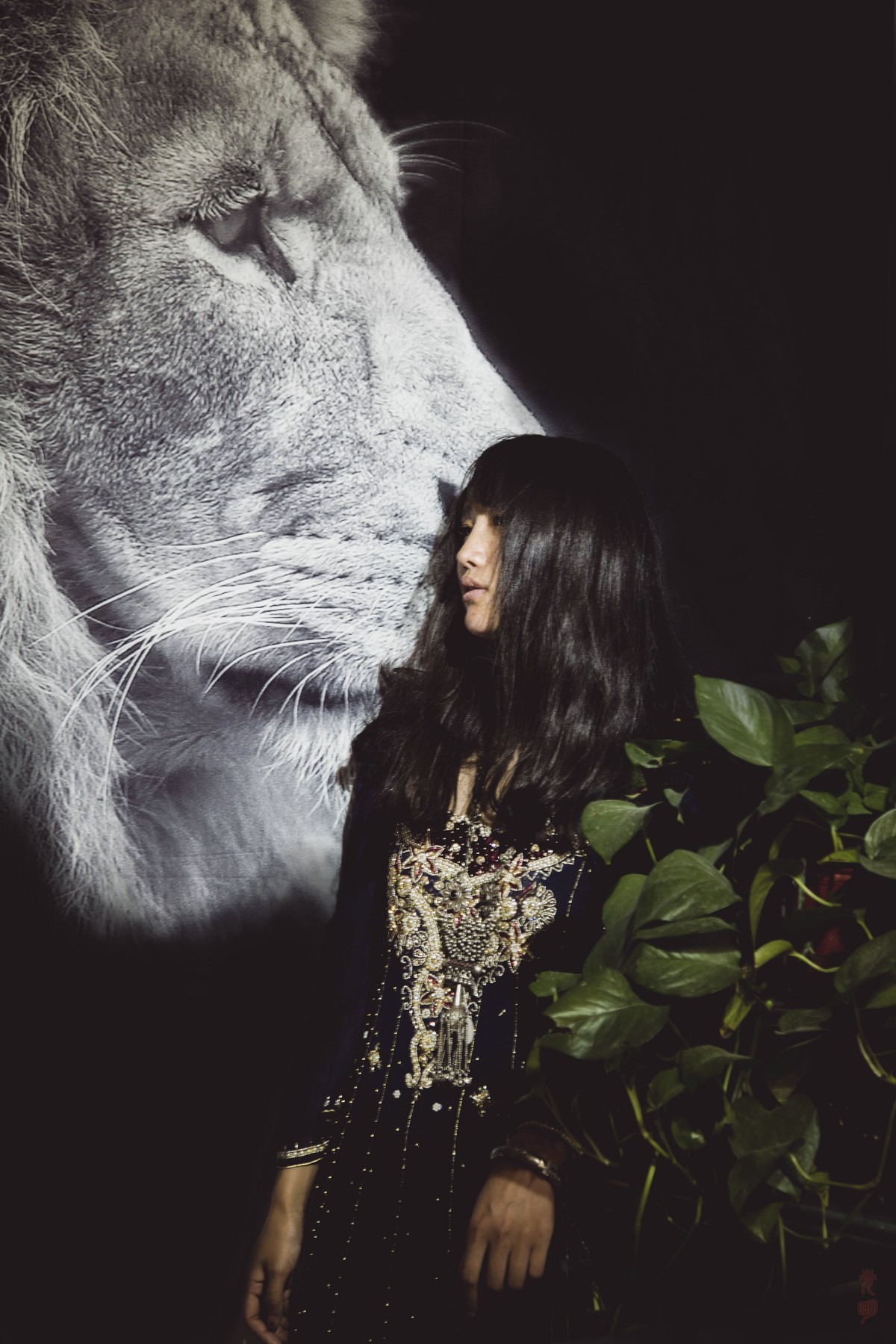 西域   沙漠之花