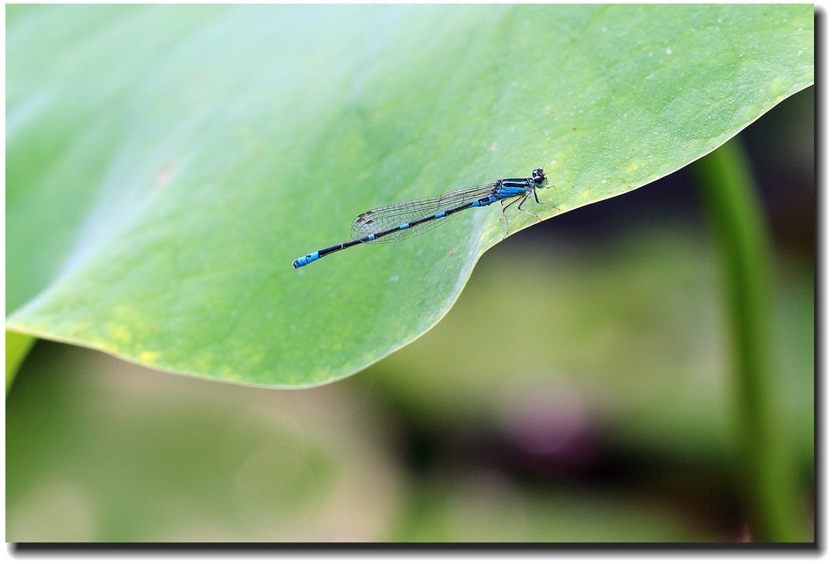 #佳能EOS M6-定格光影#_光与影的瞬间