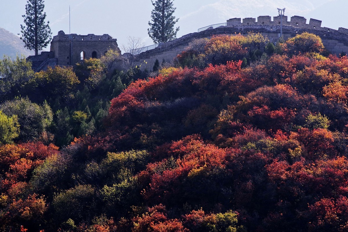 红叶岭——祝老师及朋友们新年快乐