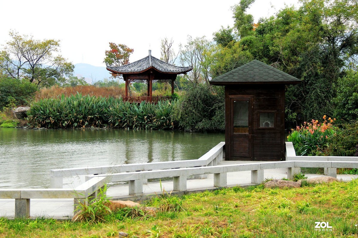 溼地公園風景5