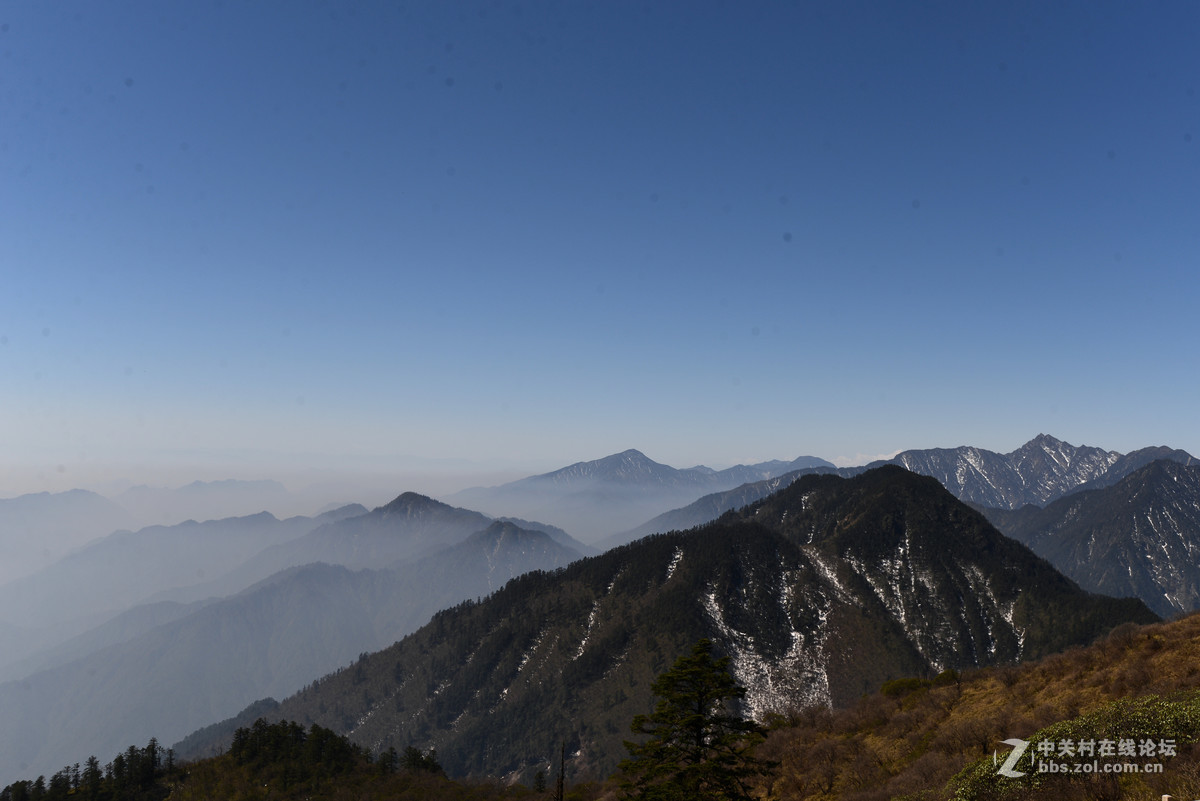 窗含西岭千秋雪