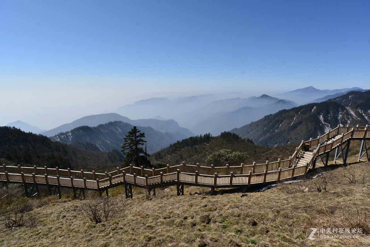 窗含西岭千秋雪