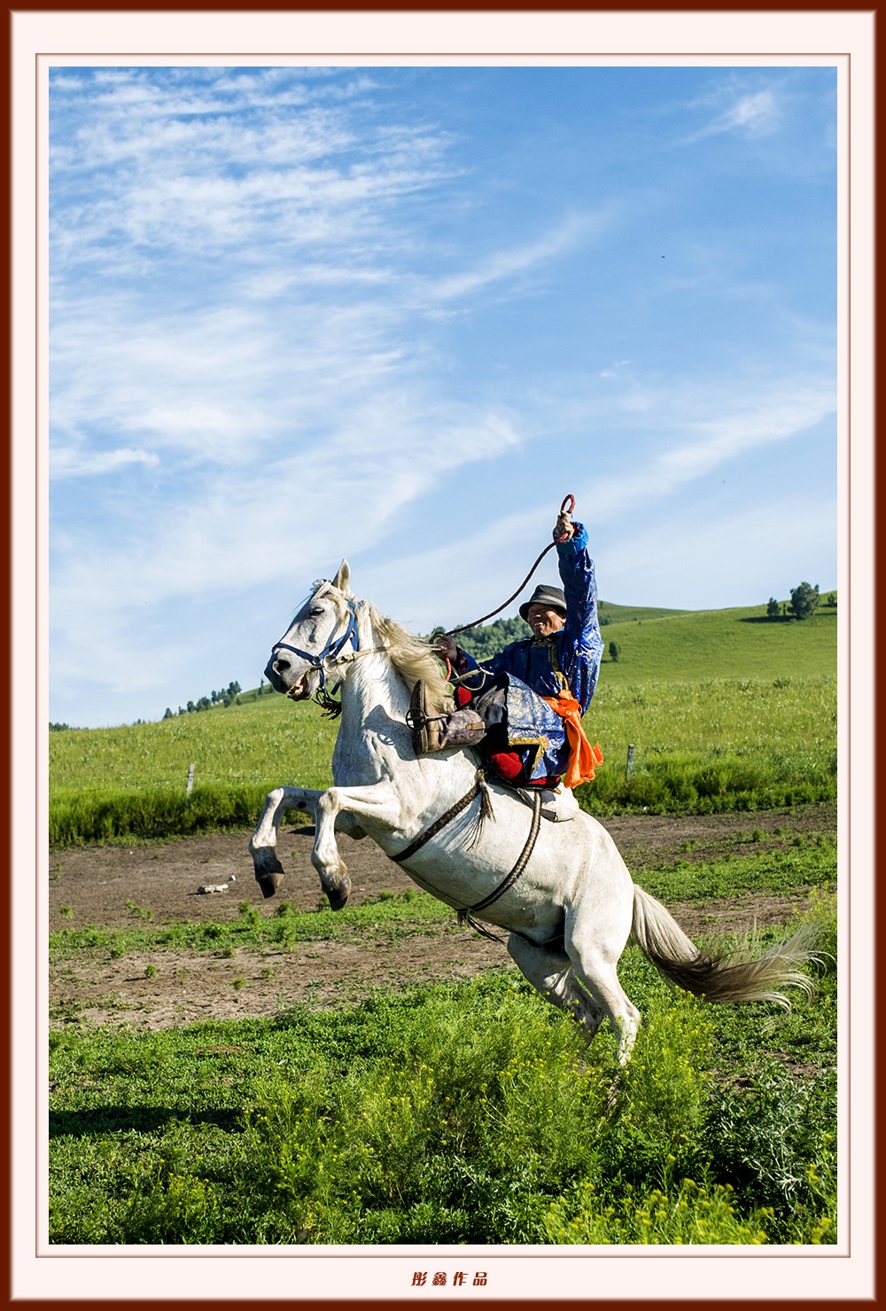 坝上草原之夏跃马2
