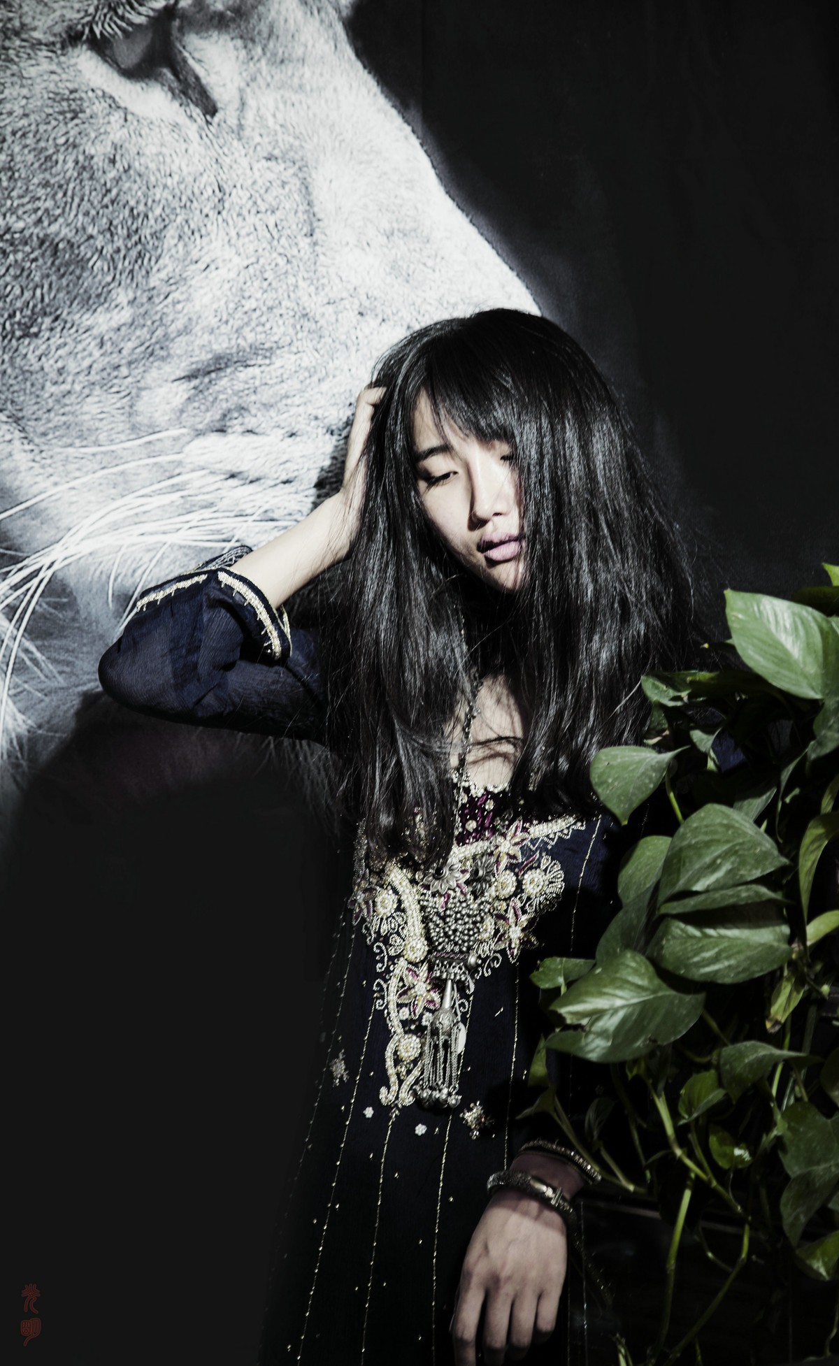 西域   沙漠之花