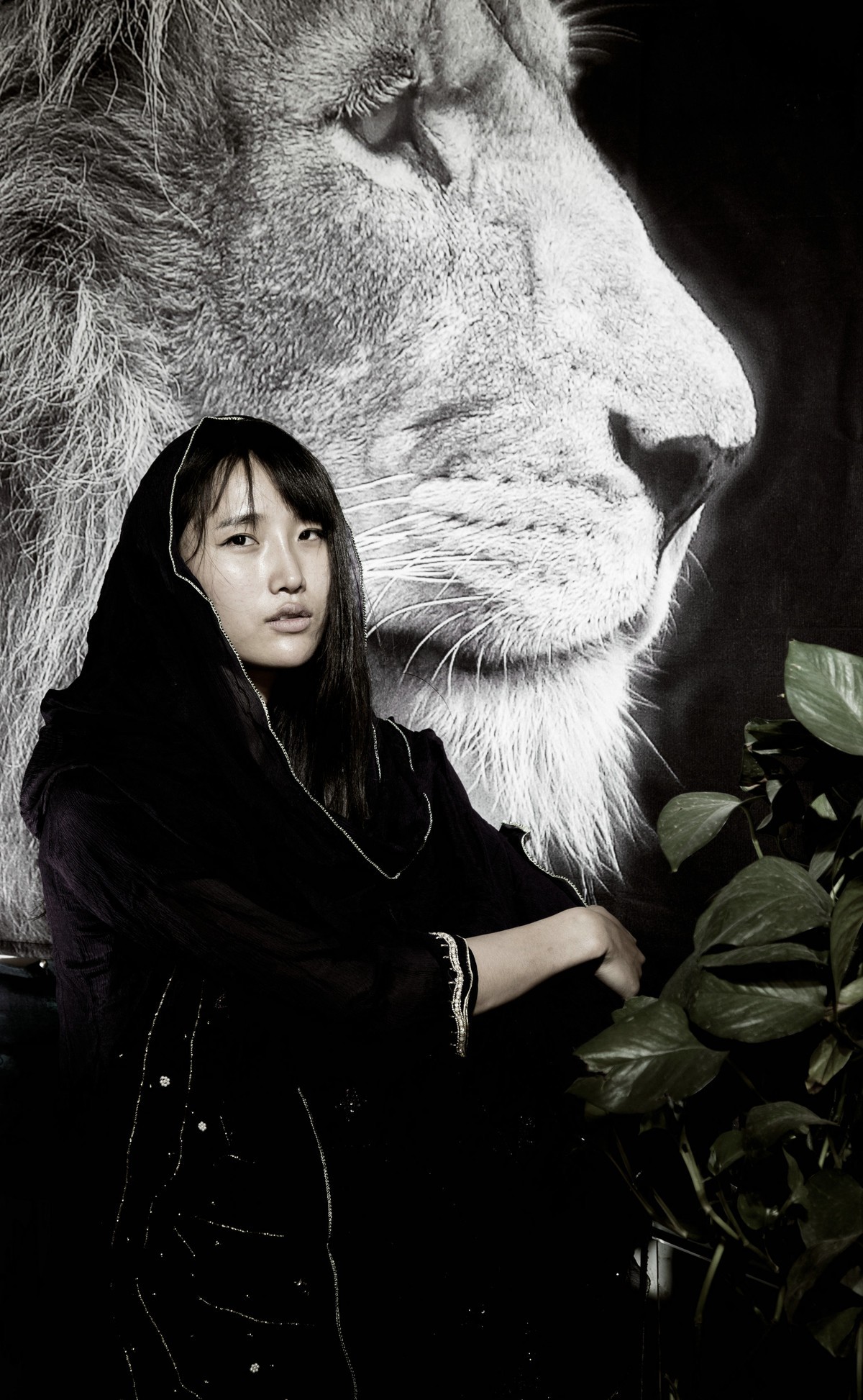 西域   沙漠之花