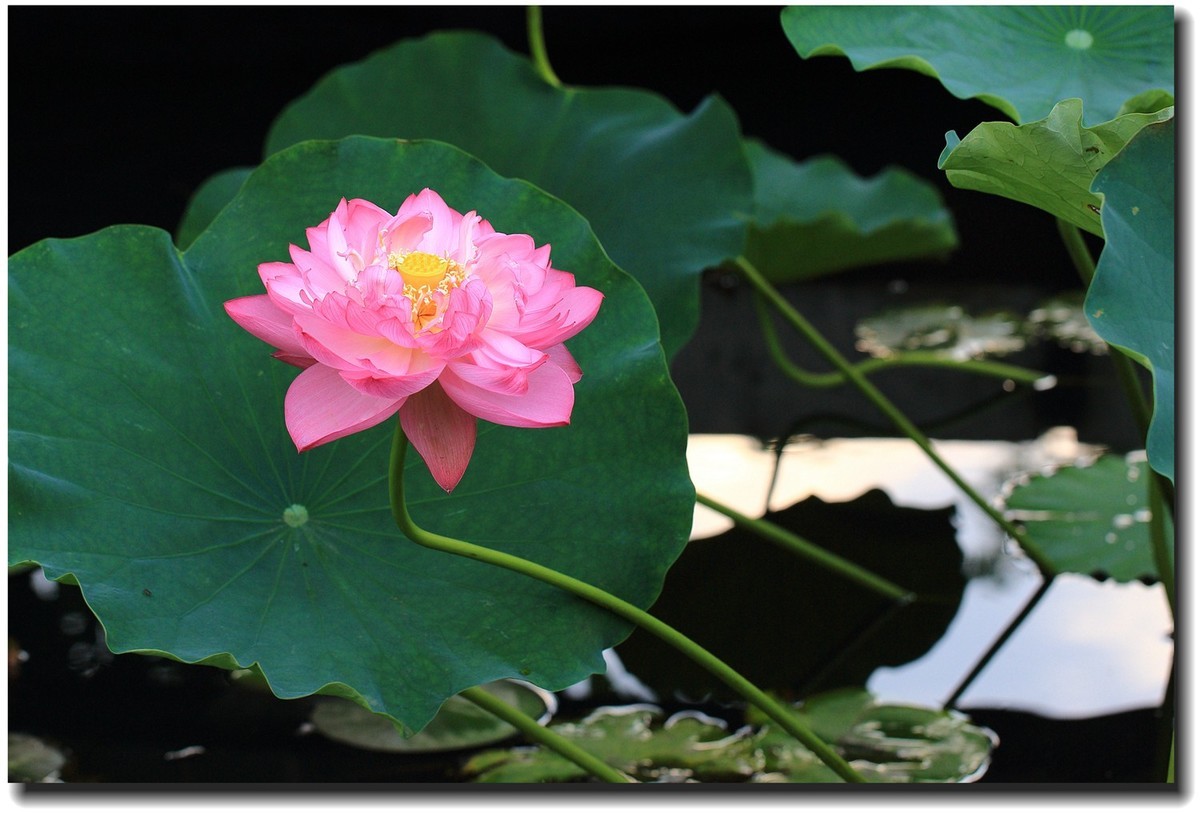 #佳能EOS M6-定格光影#_光与影的瞬间