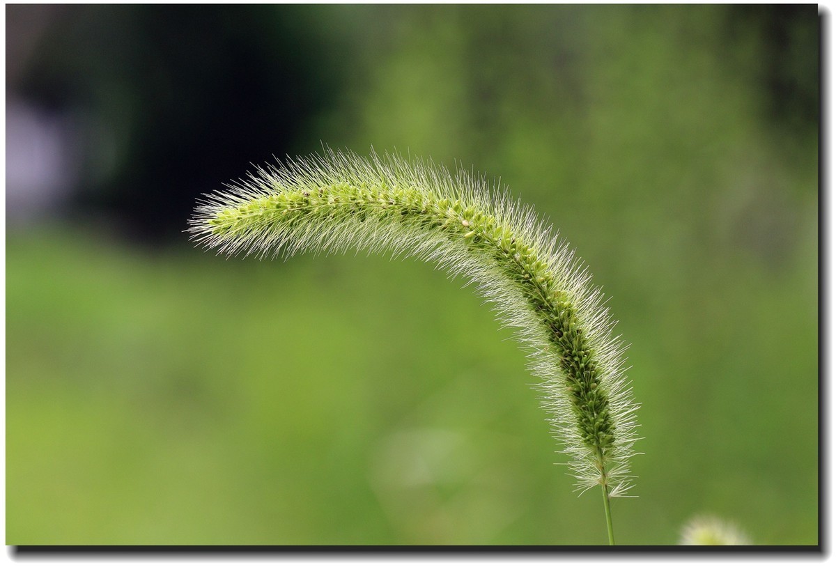 #佳能EOS M6-定格光影#_光与影的瞬间