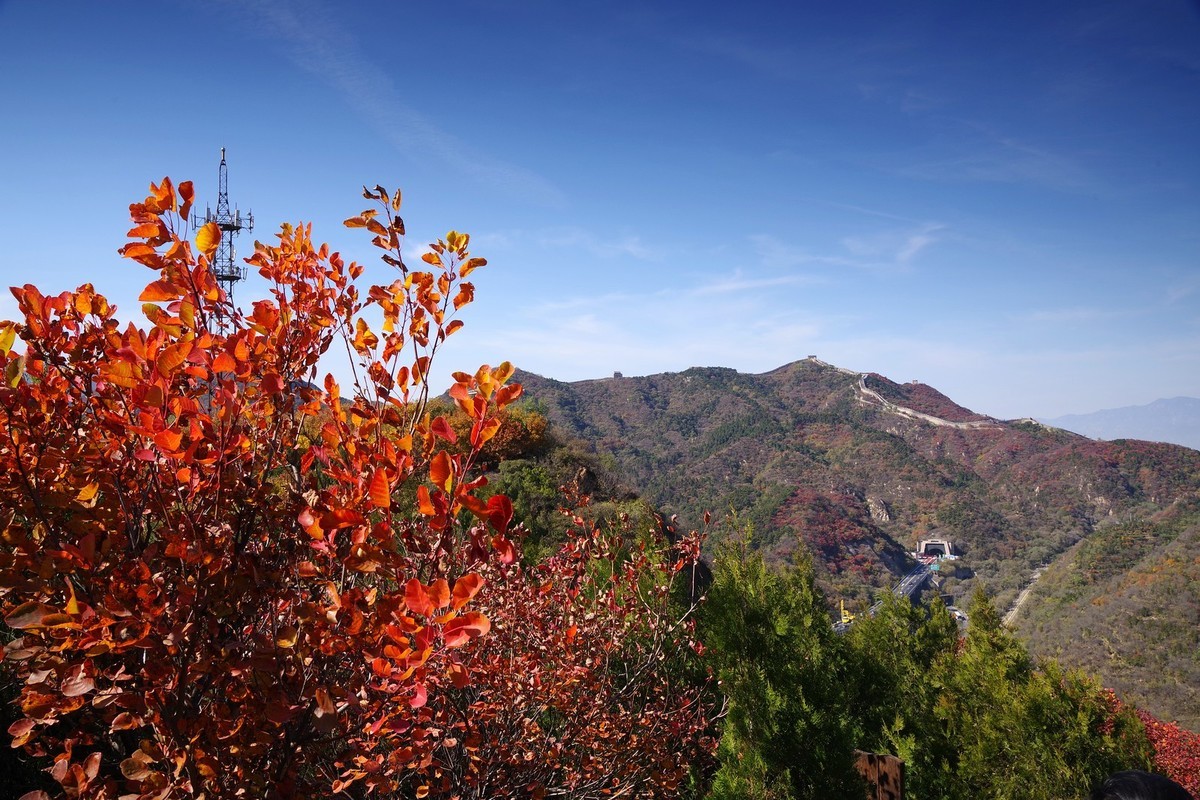 红叶岭——祝老师及朋友们新年快乐