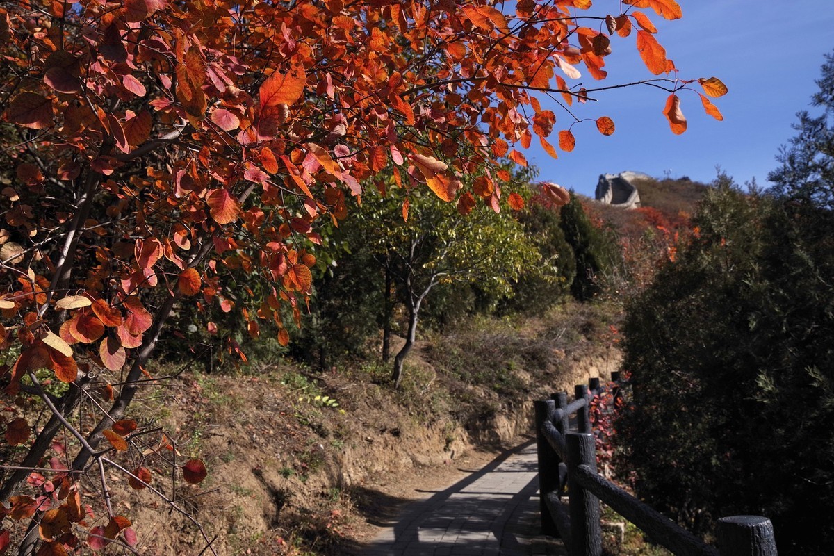 红叶岭——祝老师及朋友们新年快乐