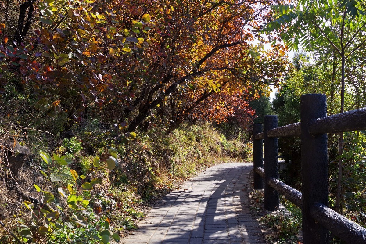 红叶岭——祝老师及朋友们新年快乐