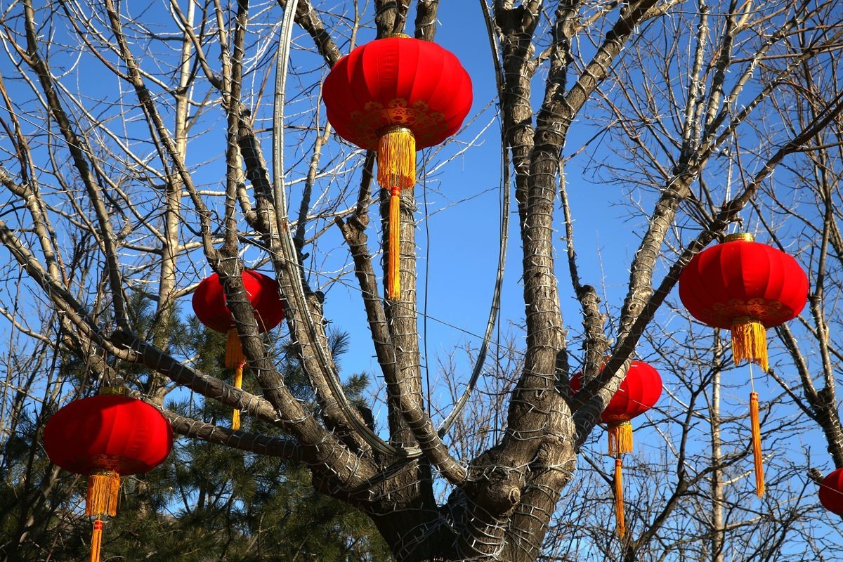 紅燈籠迎接新年-中關村在線攝影論壇