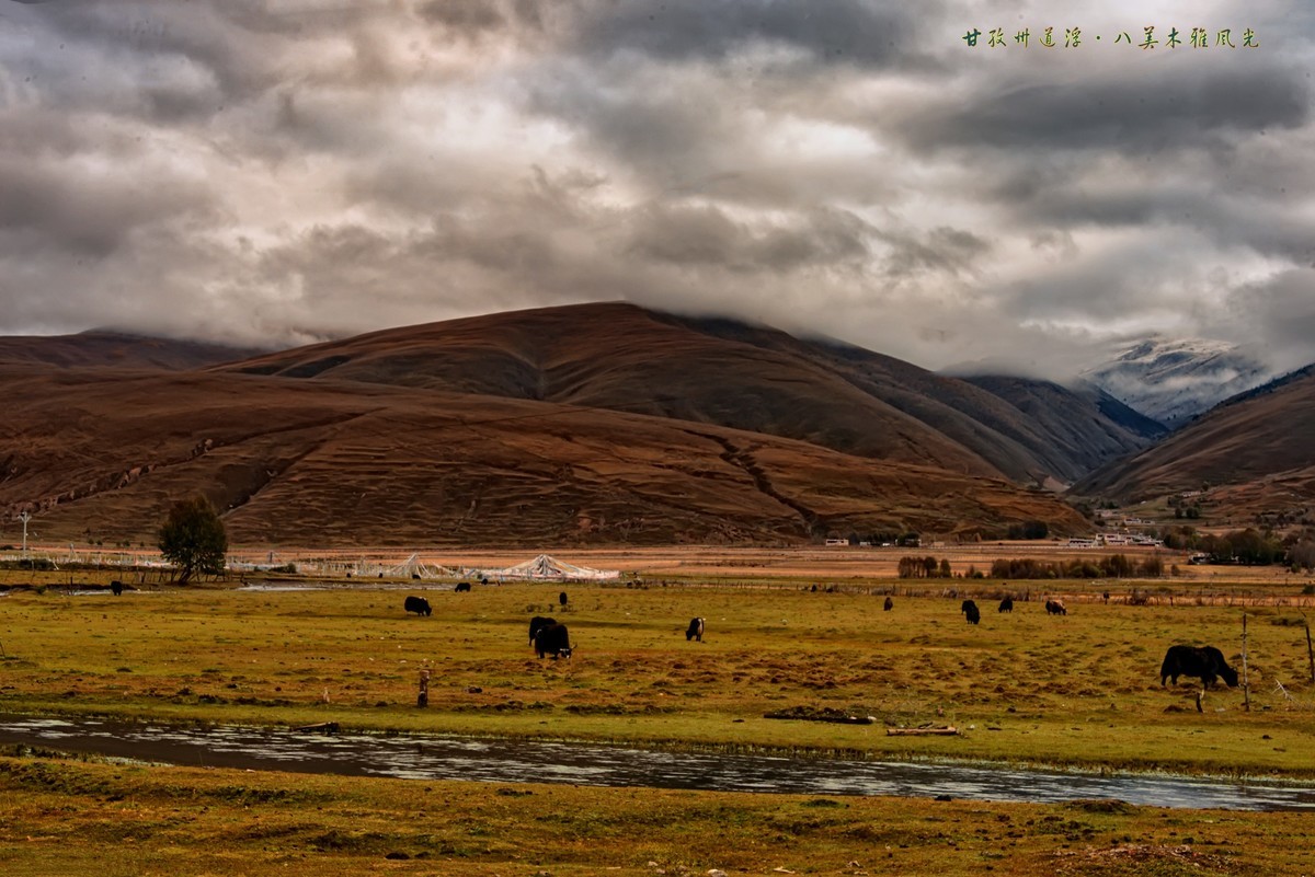 #ZOL月赛晒秋#2019 · 金秋川西行之十三：道浮八美·木雅风光