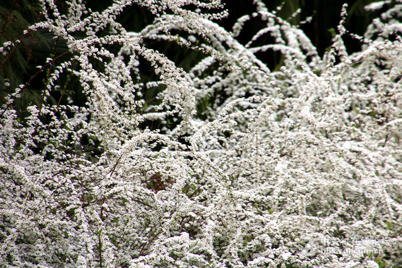 金银铜铁鼋头渚，拍一拍~