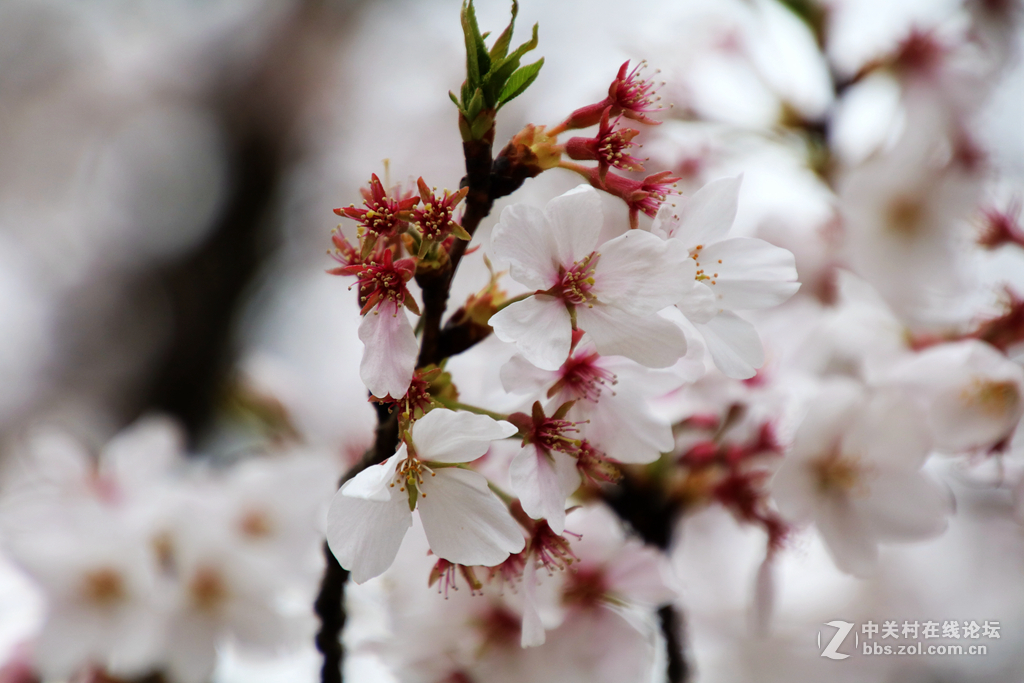 金银铜铁鼋头渚，拍一拍~