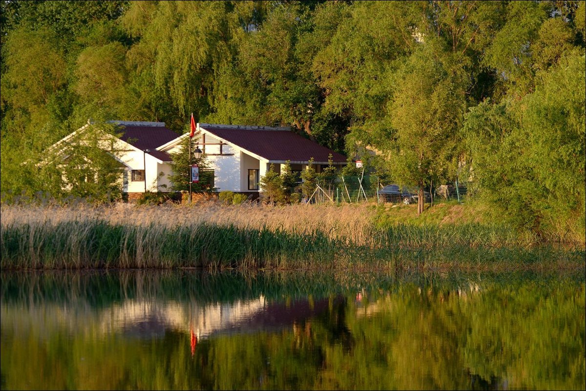 休闲随拍（304）