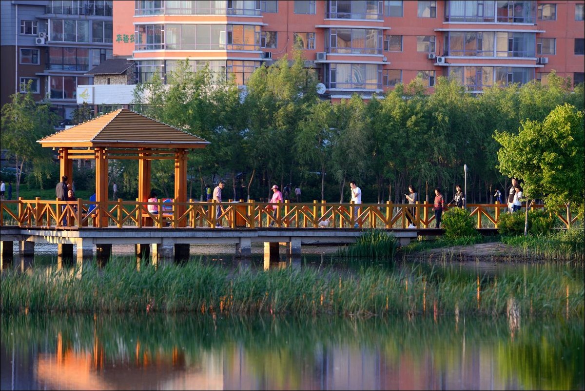 休闲随拍（304）