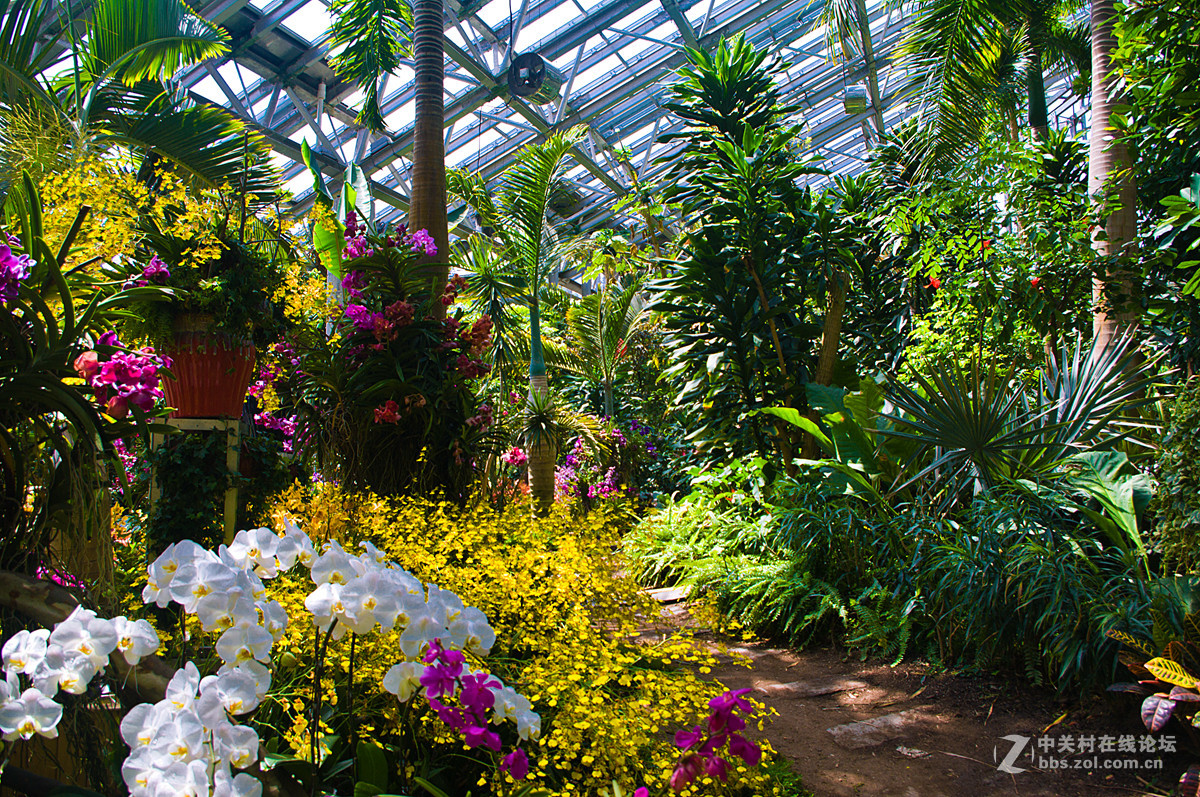 廊坊热带雨林植物园图片