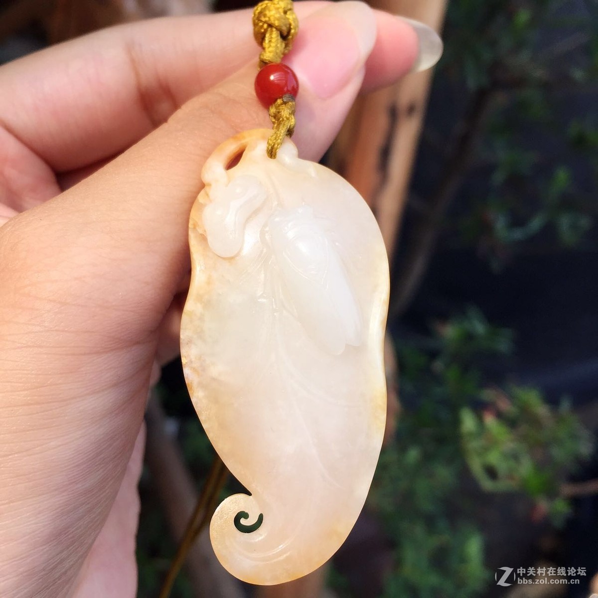 来看看我最近的收藏品~~