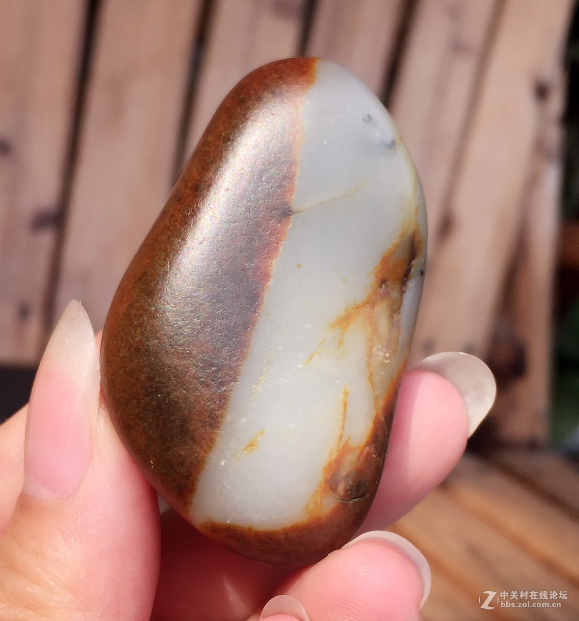 来看看我最近的收藏品~~