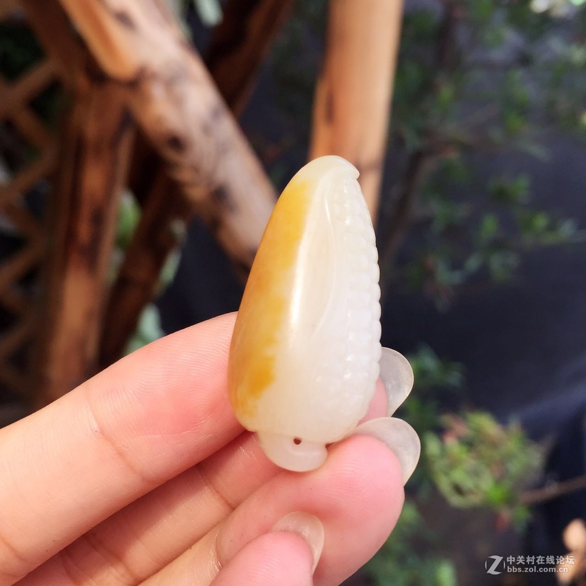 来看看我最近的收藏品~~