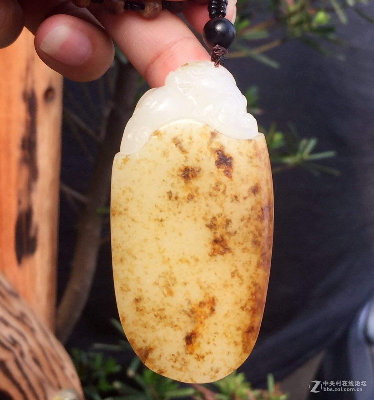 来看看我最近的收藏品~~