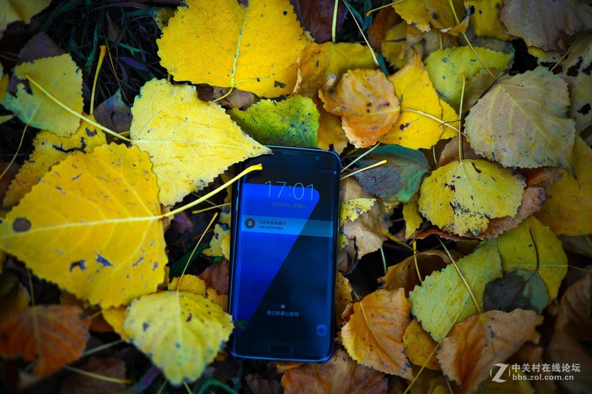 milvus35/1.4出来这么长时间了怎么就没人上片呢？