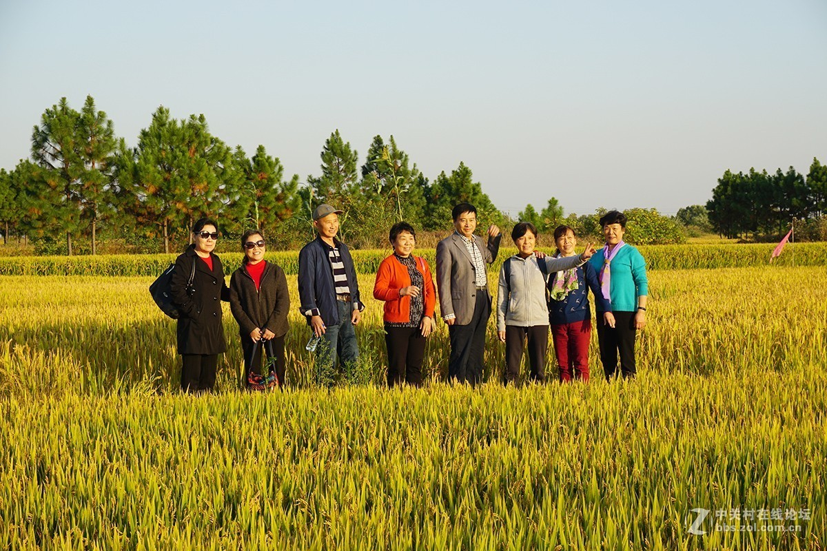 智峰生态园（马鞍山市）