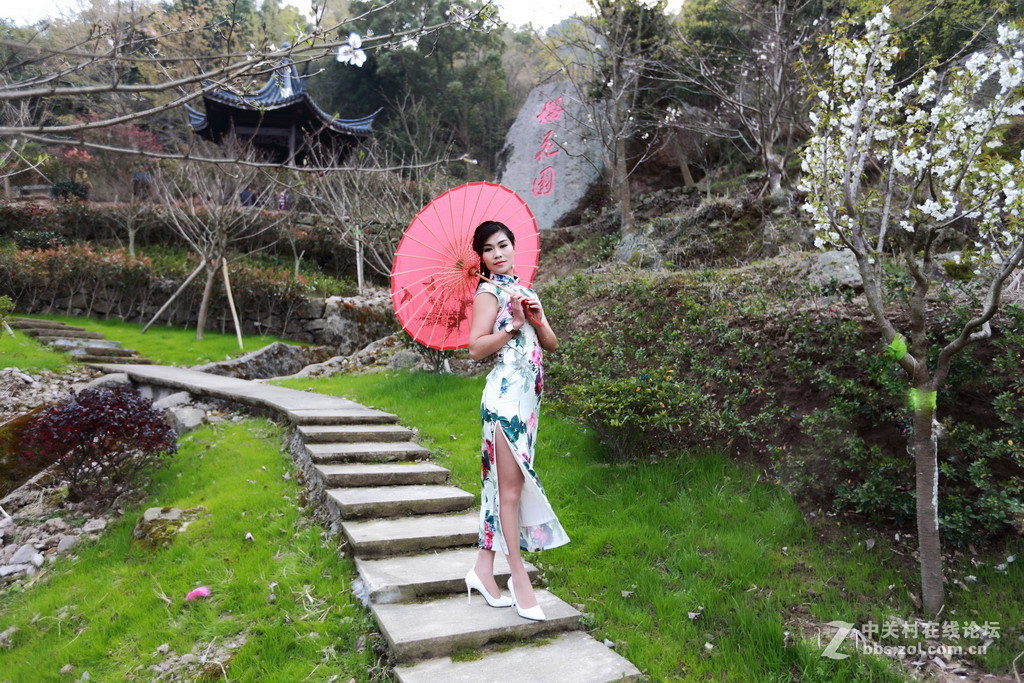 花漫桃渚，樱约而行！