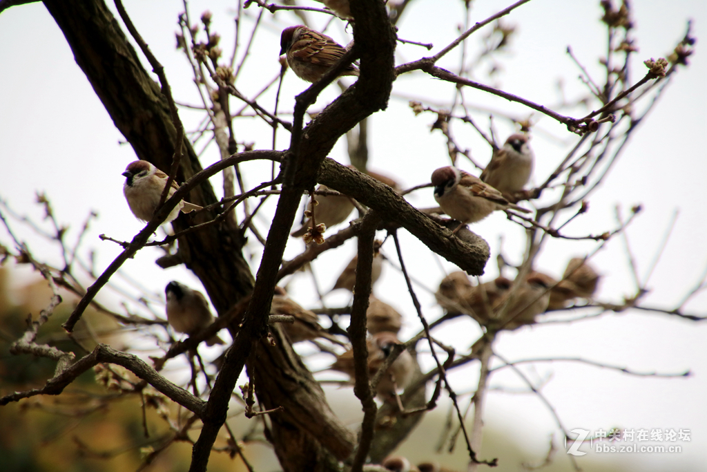金银铜铁鼋头渚，拍一拍~