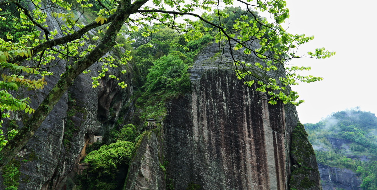 烟雨武夷山小记
