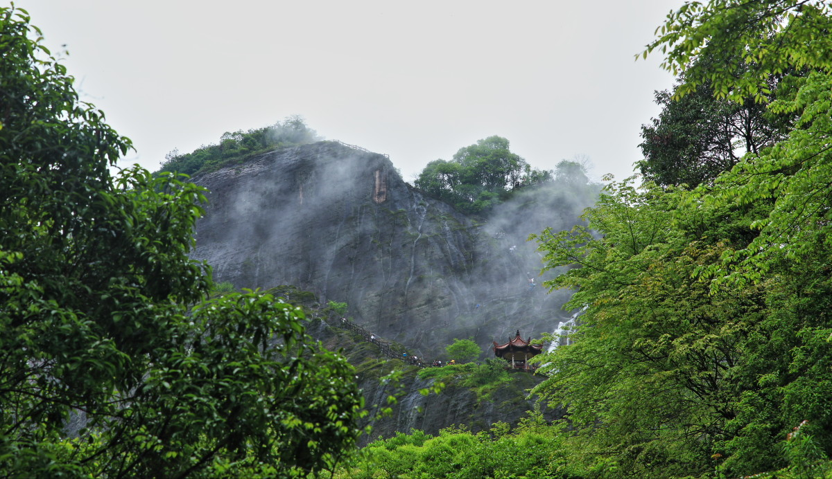 烟雨武夷山小记