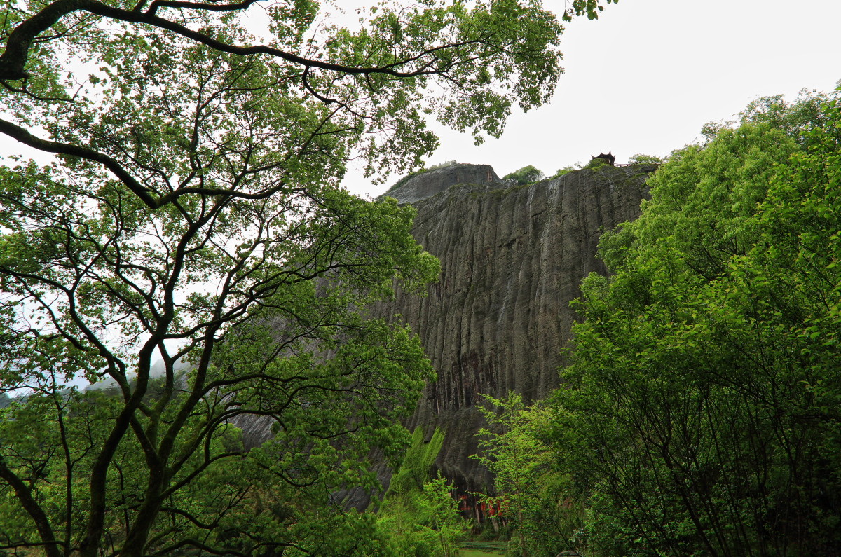 烟雨武夷山小记