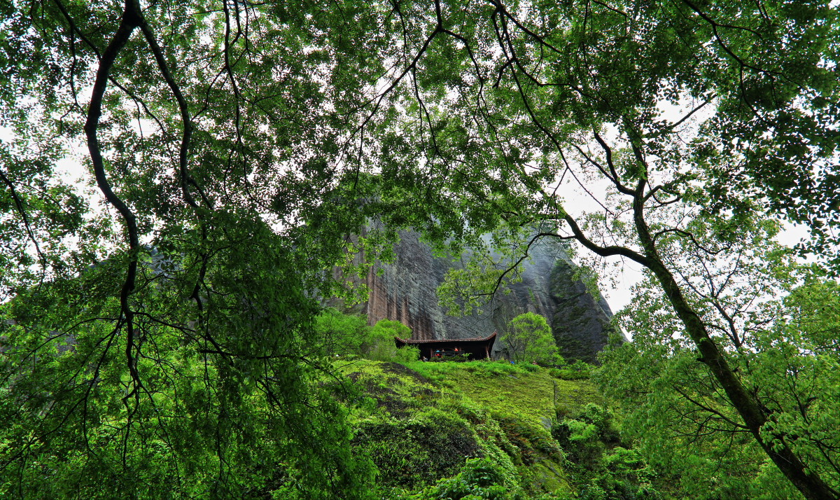 烟雨武夷山小记