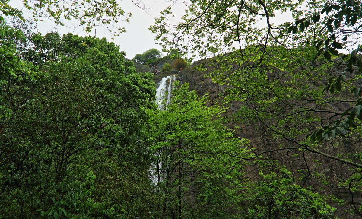 烟雨武夷山小记