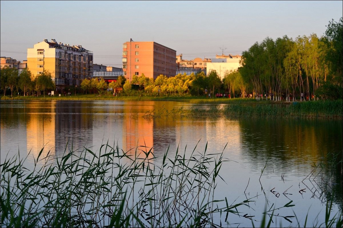 休闲随拍（304）